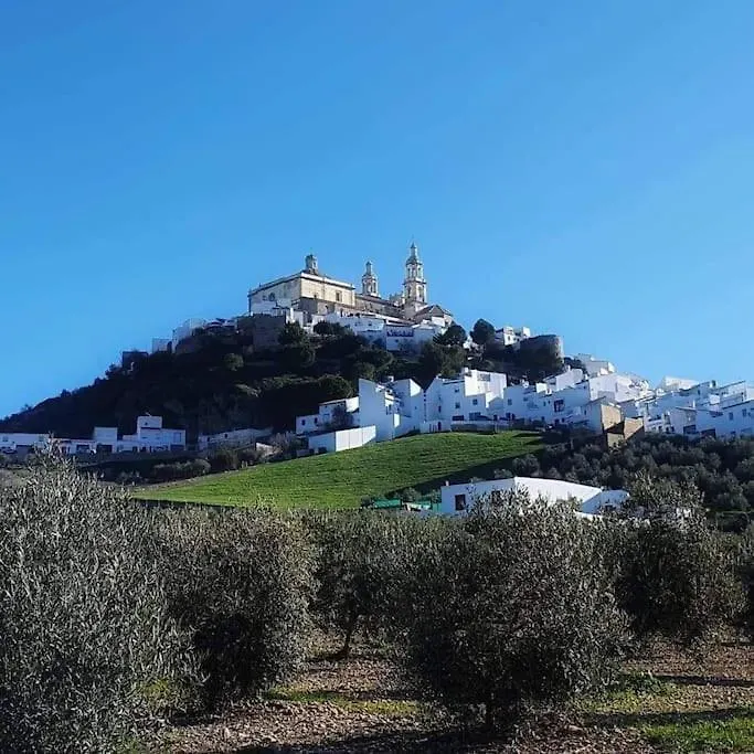Olive Tree Self-Catering Accommodation Olvera 0*,
