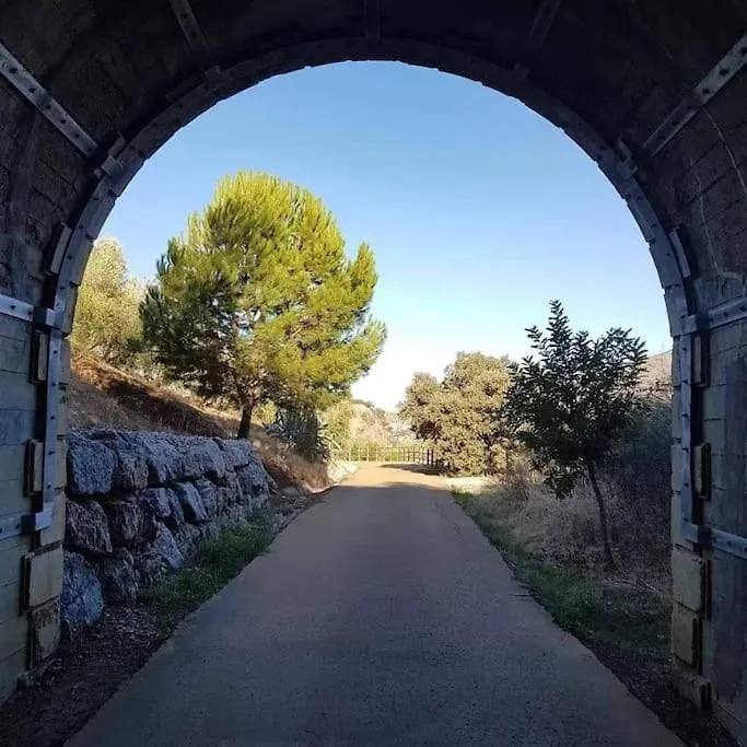 Holiday home Olive Tree Self-Catering Accommodation Olvera